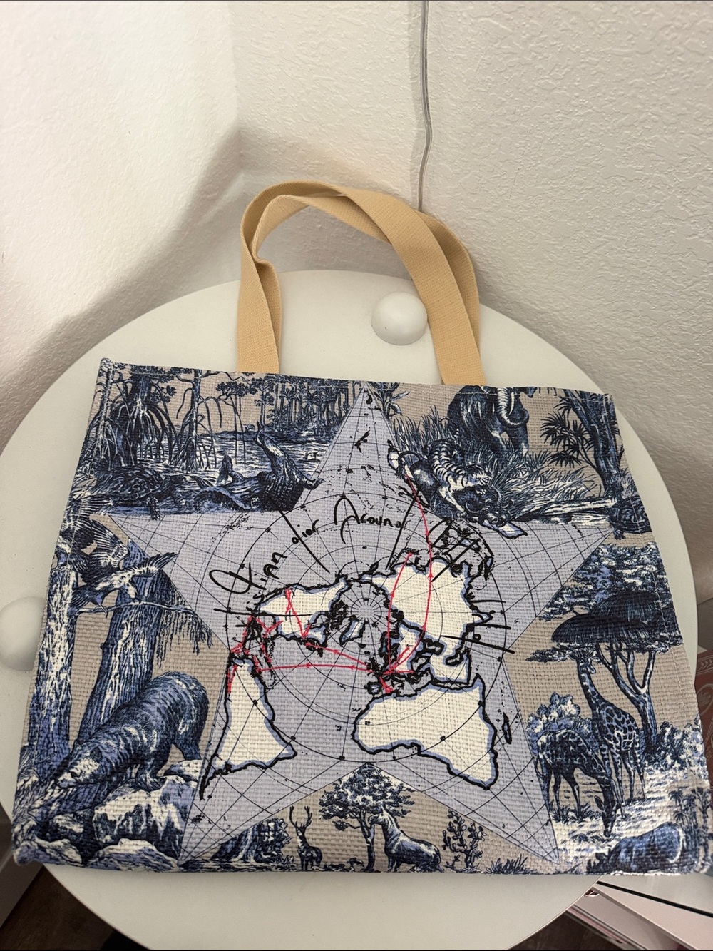 Dior Canvas Star Map Tote Bag with Beige Straps